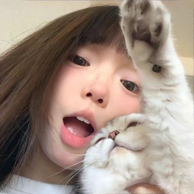 合子异种